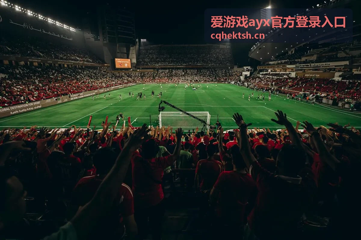 爱游戏ayx官方登录入口夜间线路的示意画面